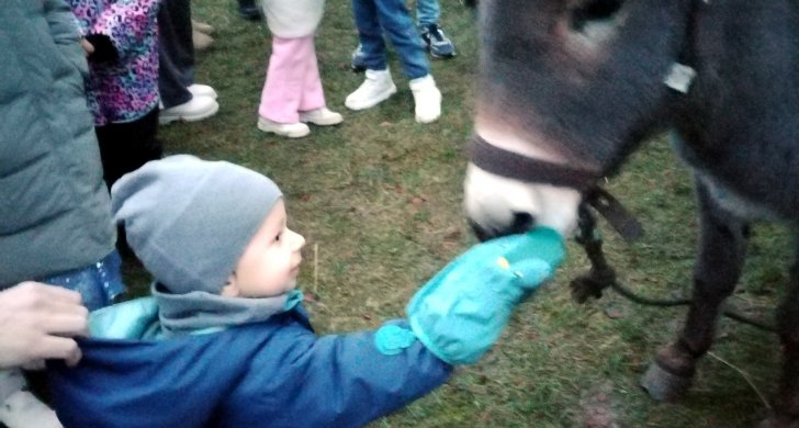 zviratka z chmelistne .jpg